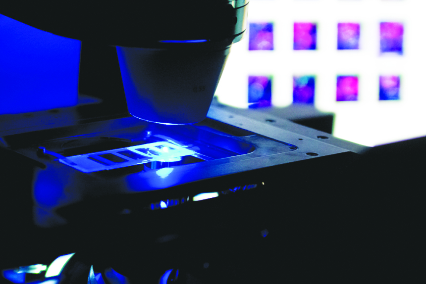 The Zeiss confocal microscope in the Young-Pearse lab, one of many labs moving into the building, is used to capture images of neurons.