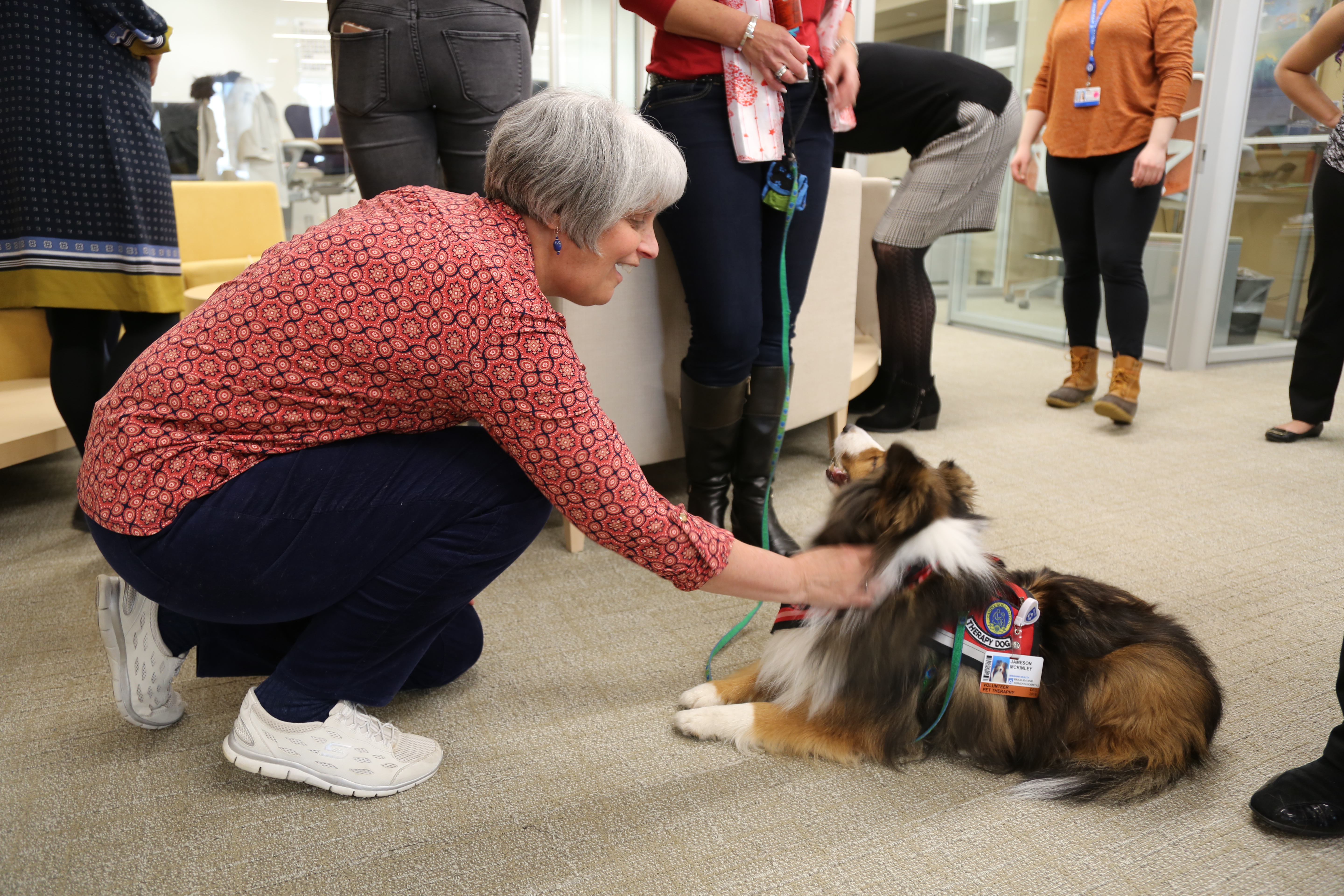 Employee kneeling down to pet shetland sheepdog.