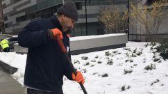 Ruberkis Arias, of Environmental Services, shovels snow outside the Hale Building for Transformative Medicine.