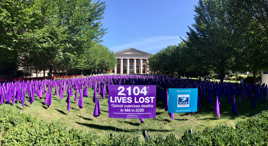 Rows of purple flags planted on a lawn